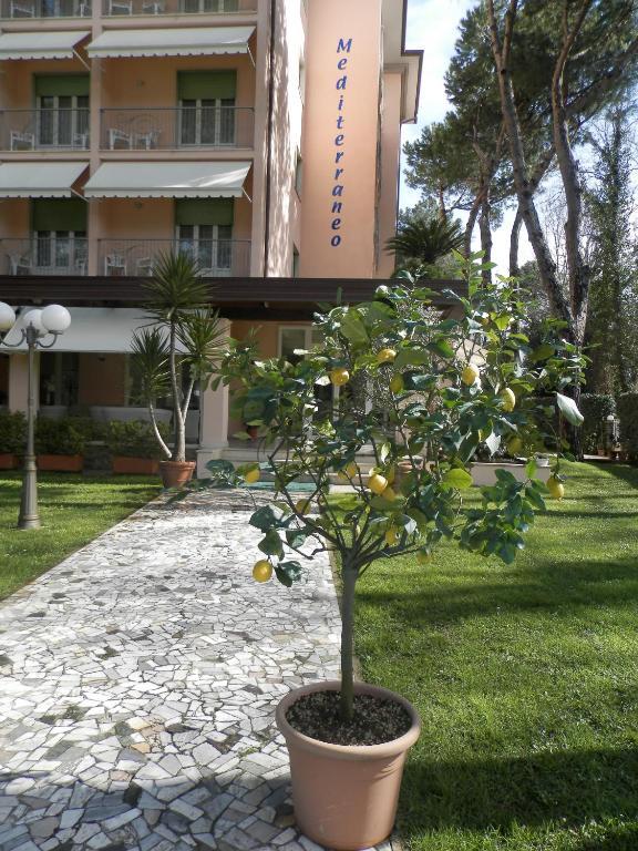 Hotel Mediterraneo Marina di Pietrasanta Exterior foto